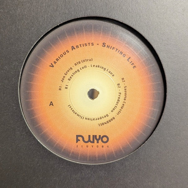 Image of Front Cover of 12" - NEW/NEW - VARIOUS, Shifting Life (FLUYO; FLUYO04, Spain 2025), , Escribano Imprints presents Fluyo 004   a carefully curated compilation featuring four distinct artists, each offering their unique interpretation of a shared sonic language. Thoughtfully assembled, the release invites listeners on a deep and elegant journey: subtle, timeless, and gently propelling forward. It s a seamless continuation of the label s ongoing exploration of sound. - 2715598C