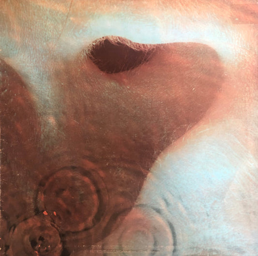 Image of Front Cover of 4545103S: LP - PINK FLOYD, Meddle (Harvest; SHVL 795, UK 1971, Gatefold Sleeve With Texture on Outside Only, EMI Box, MADE IN GT. BRITAIN on Labels) Edge wear and spine split at middle. Notable wear on disc.  G+/G