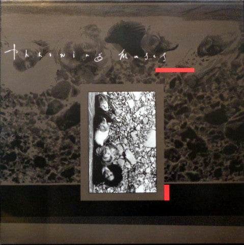 Image of Front Cover of 12" EP - VG/VG+ - THROWING MUSES, Chains Changed (4AD; bad 701, UK 1987 Reissue, "Made In England" Printed on back), couple of small edge creases,  - 4246004S