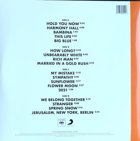 Image of Back Cover of 2xLP - VG/VG - VAMPIRE WEEKEND, Father Of The Bride (Columbia; 19075930141, Europe Reissue, Gatefold, Poster), Sleeve has light ring wear.,  - 4216654C