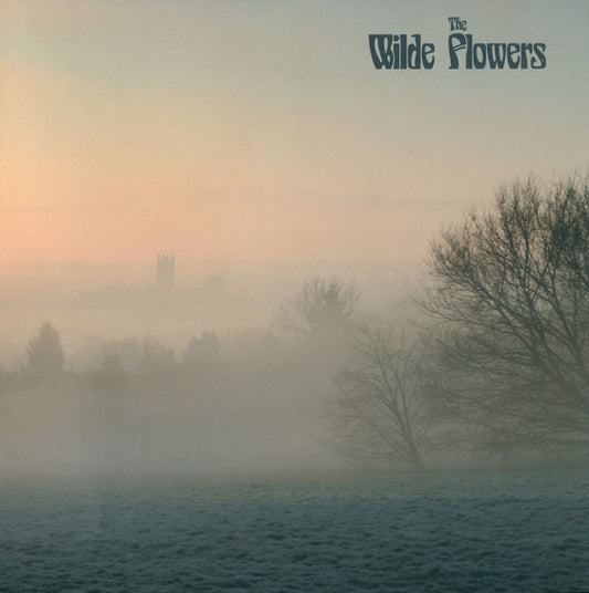 Image of Front Cover of 3245028S: LP - THE WILDE FLOWERS, The Wilde Flowers (Tiger Bay; TB6348, Europe 2018 Reissue, Gatefold, 180 Gram Vinyl, feat Robert Wyatt, Kevin Ayers...)   VG+/VG+