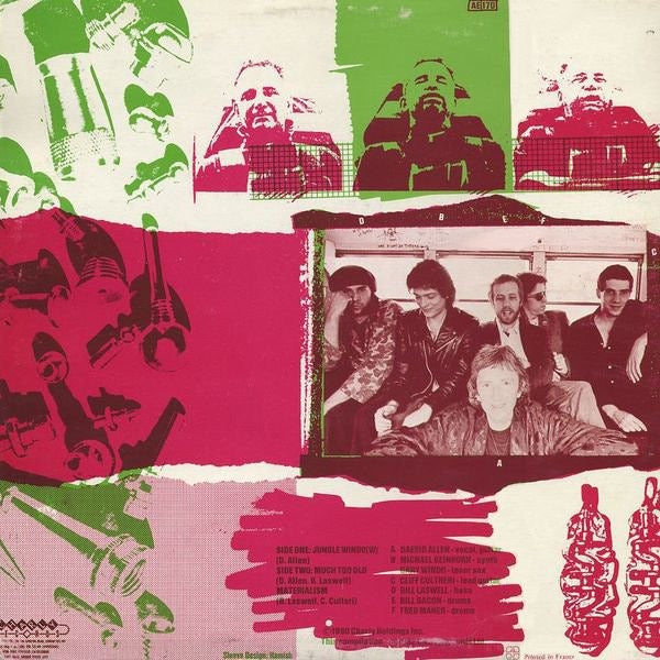 Image of Back Cover of 3345294S: 10" - DAEVID ALLEN WITH NEW YORK GONG, Jungle Windo(w) (Charly Records; CYX 203, Europe 1982, feat Bill Laswell and other mebers of Material) cover wear and foxing  VG/VG+