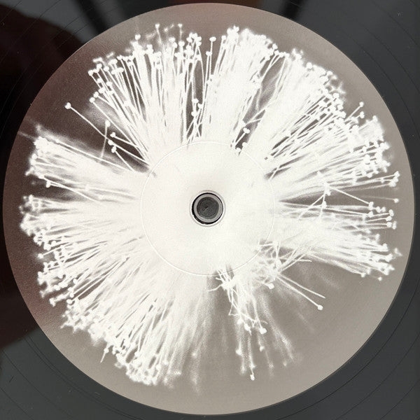 Image of Label Cover of 12" - NEW/NEW - FOUR TET, Into Dust (Still Falling) (XL Recordings; XL1554T, Europe 2025), ,  - 2656144S