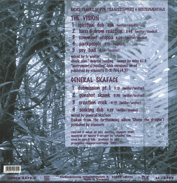 Image of Back Cover of LP - EX/VG+ - THE VISION, The Instrumental Healing Sessions Dub Clash General Skaface Vs. Fe (F nfUndVierzig; 4579-1, Germany 1994), ,  - 3415184C