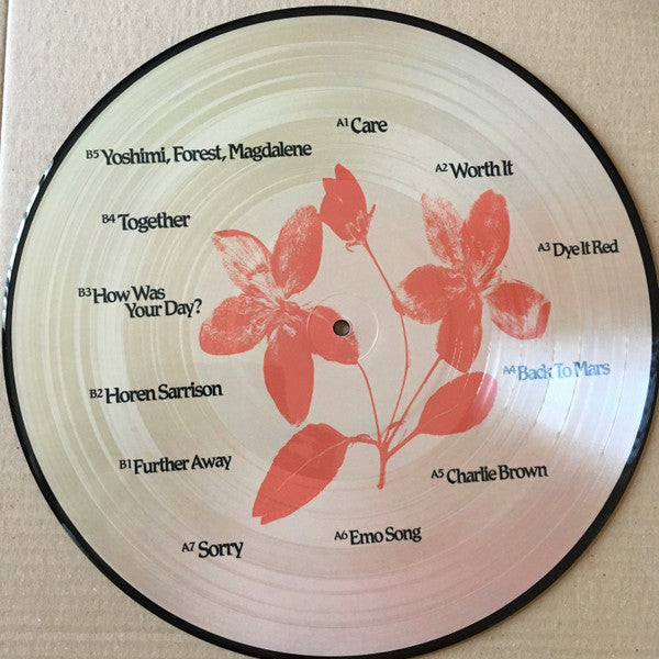 Image of Back Cover of LP - VG+/VG+ - BEABADOOBEE, Fake It Flowers (Dirty Hit; DH00918, UK 2020, Clear Plastic Sleeve, Picture Disc), In original sleeve with hype sticker. Minor scuffs to record.,  - 3425069E