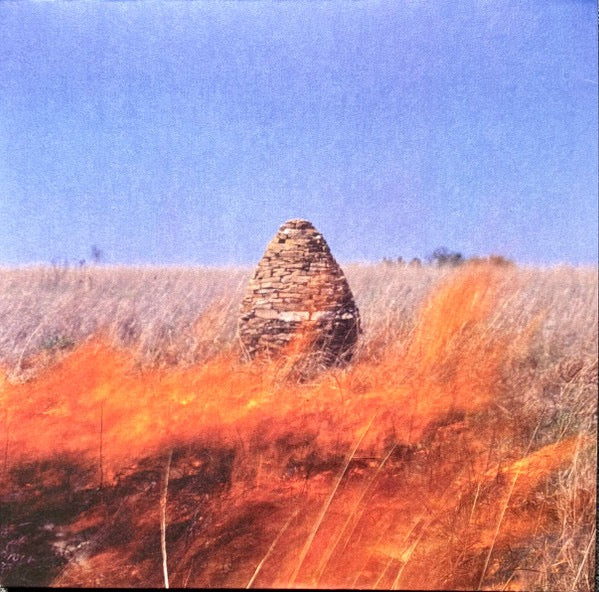 Image of Back Cover of 2xLP - NEW/NEW - THE MACCABEES, Given To The Wild (Fiction Records; 7808937, UK & Europe 2025 Reissue, Gatefold, Translucent Orange Vinyl), ,  - 0556105S