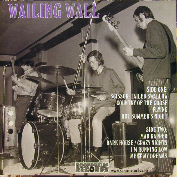 Image of Back Cover of LP - VG+/VG+ - WAILING WALL, Wailing Wall (Rockadelic Records; RRLP-47, US 2002, 2 Inserts), ,  - 3825042E
