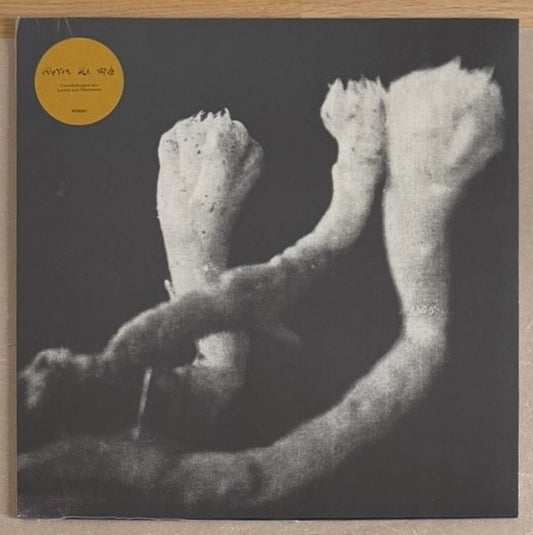 Image of Front Cover of 4335024E: LP - LAUTEN DER SEELE, Unterhaltungen mit Larven und �berresten (World Of Echo; WOE024LP, UK 2025, Inner)   NEW/NEW