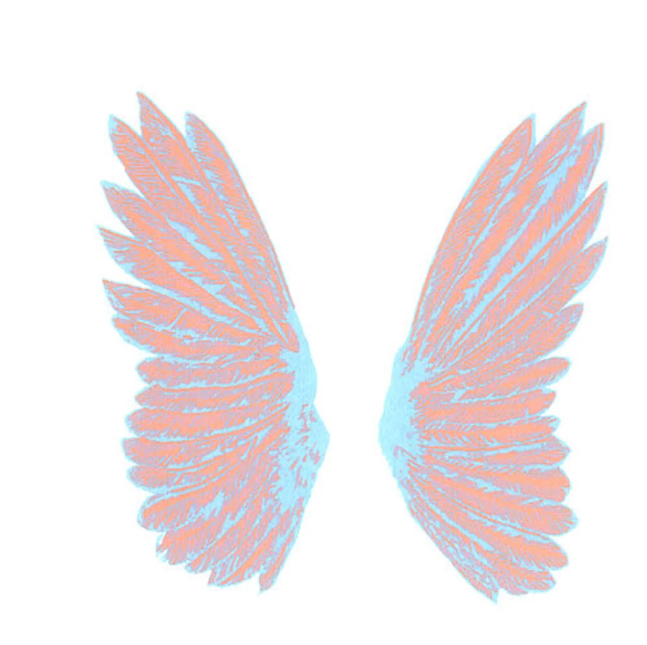 Image of Front Cover of 7" - VG+/VG - SMOKE FAIRIES, We've Seen Birds (Full Time Hobby; FTH204S, UK 2014, Silkscreened Wraparound Sleeve With Poly Outer, Limited To 500), ,  - 4815151C