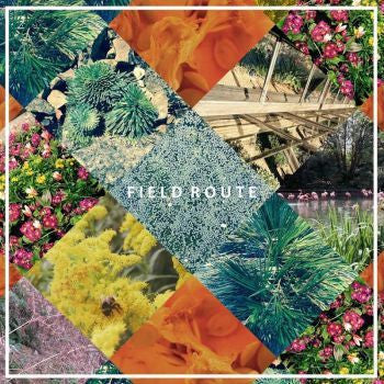 Image of Front Cover of 3855143S: 7" - FIELD ROUTE, Field Route (Box Bedroom Rebels; BBR#25, UK 2016, Picture Sleeve, Inserts, Poster, Limited Edition of 200)   VG/VG