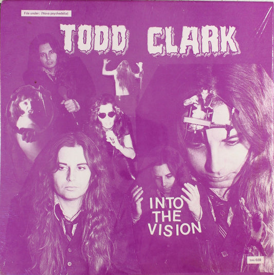 Image of Front Cover of LP - VG/VG+ - TODD CLARK, Into The Vision (T.M.I. Products; tmi 020, US 1984, Pasteback Sleeve, Stereo), Light surface marks. Corner wear and light discolouration.,  - 3925401E