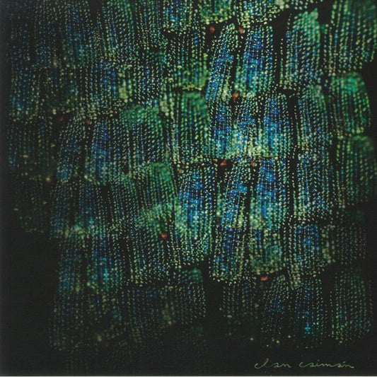 Image of Front Cover of LP - EX/EX - CLAN CAIM N, Asoma (EM Records; EM1195LP, Japan 2021), ,  - 0226112E