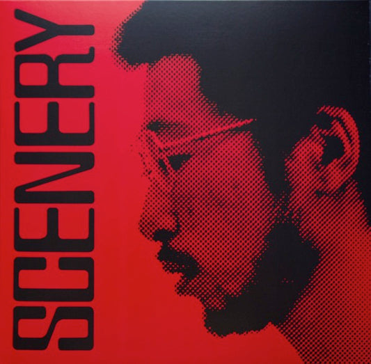 Image of Front Cover of LP - NEW/NEW - RYO FUKUI, Scenery (We Release Jazz; WRJ001, Switzerland 2018 Reissue), ,  - 1816319C