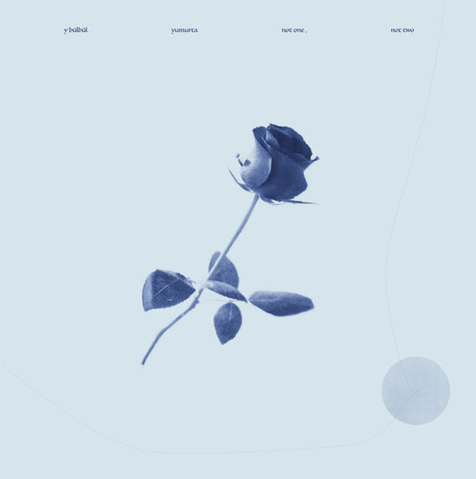 Image of Front Cover of 4245130S: LP - Y B�LB�L, YUMURTA, Not One, Not Two (Pingipung; Pingipung 076, Germany 2022, Black Inner) Still In Opened Shrinkwrap with Hype Sticker  VG+/VG+