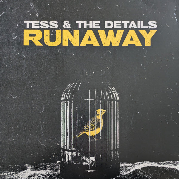 Image of Front Cover of LP - VG+/VG+ - TESS & THE DETAILS, Runaway (Double Helix Records; DHR-235235-0015, US 2023, Gatefold, Booklet, Yellow w/ Black Splatter Vinyl, Ltd to 200, ex Useless ID), ,  - 4345021S
