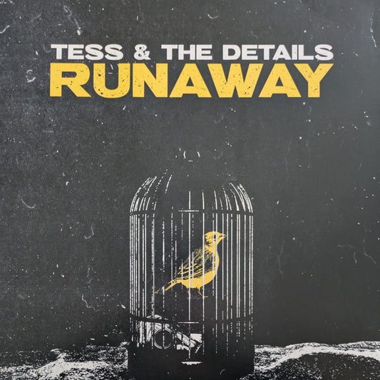 Image of Front Cover of LP - VG+/VG+ - TESS & THE DETAILS, Runaway (Double Helix Records; DHR-235235-0015, US 2023, Gatefold, Booklet, Yellow w/ Black Splatter Vinyl, Ltd to 200, ex Useless ID), ,  - 4345021S