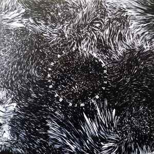 Image of Back Cover of 4345219S: LP - STEPHAN BODZIN, Powers Of Ten (Herzblut Recordings; HERZ 50-3, Germany 2015) Light Marks only. Slight edge wear. Writing on label.  VG/VG