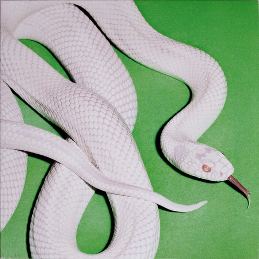 Image of Front Cover of LP - NEW/NEW - DEFTONES, Private Music (Reprise Records; 093624832355, Europe 2025, Booklet & Inner), ,  - 0416192C