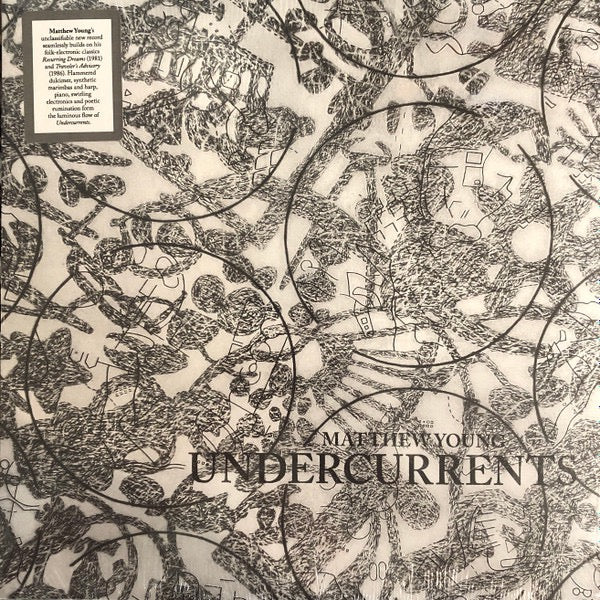Image of Front Cover of LP - NEW/NEW - MATTHEW YOUNG, Undercurrents (Drag City; DC947, Europe 2025, Standard Sleeve), ,  - 4515038C