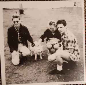 Image of Back Cover of 7" - EX/EX - THE WEE CHERUBS, Dreaming (Optic Nerve Recordings; ON212, UK 2020 Reissue, Gatefold, With Poster & Postcard, Translucent Grey Vinyl), ,  - 4515097C