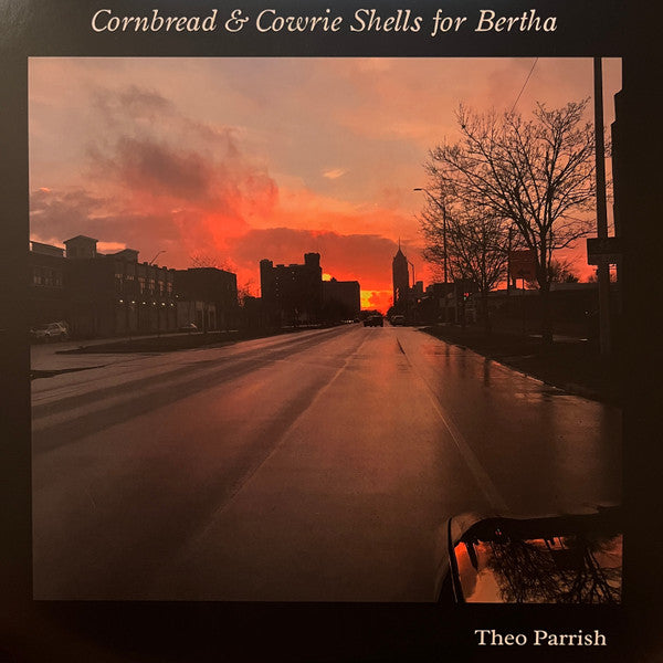 Image of Front Cover of 2xLP - VG+/VG - THEO PARRISH, Cornbread & Cowrie Shells For Bertha (Sound Signature; SS093, US 2023), Strong VG - one long light mark on side4,  - 3346010S