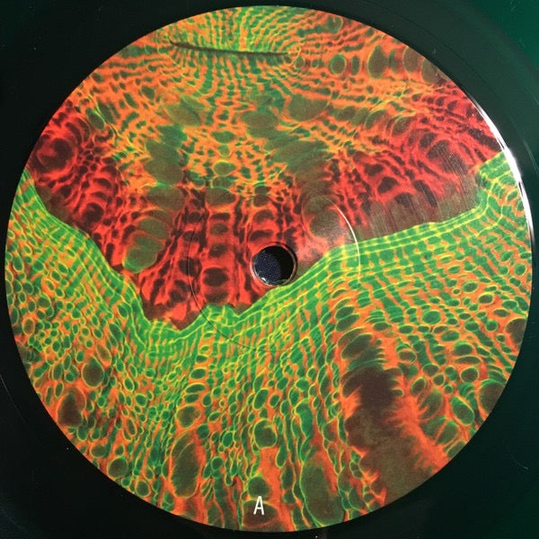 Image of Label Cover of 4615120C: 2xLP - ANIMAL COLLECTIVE, Tangerine Reef (Domino; WIGLP430, USA & Europe 2018, 2 Inners, Single Sided, Etched, Green, 180g) Light Marks only.  VG+/VG