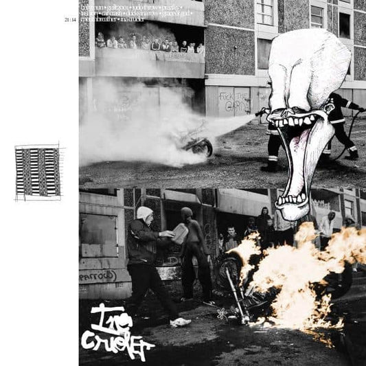 Image of Front Cover of 4645215S: LP - BRICKNASTY, Ina Crueler (FAMM; FAMM101LP, Poland 2024, 45RPM ) Seal opened instore, still in stickered shrinkwrap.  EX/EX