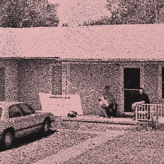 Image of Front Cover of 947501C: 2xLP - JANE REMOVER, Frailty (deadAir; DA1, Europe 2025 Reissue, 2LP Pink Vinyl)   NEW/NEW