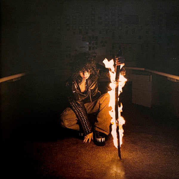 Image of Front Cover of 2xLP - NEW/NEW - JANE REMOVER, Revengeseekerz (deadAir; DAO14JR, Europe 2025 Reissue, Gatefold, Orange Vinyl), ,  - 0416023C