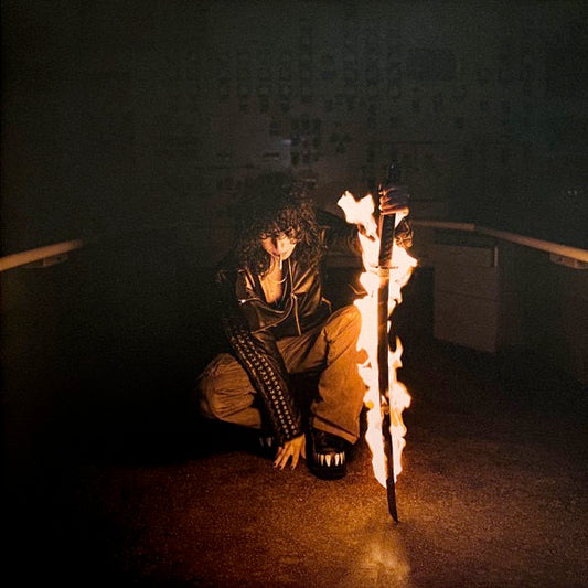 Image of Front Cover of 2xLP - NEW/NEW - JANE REMOVER, Revengeseekerz (deadAir; DAO14JR, Europe 2025 Reissue, Gatefold, Orange Vinyl), ,  - 0416023C