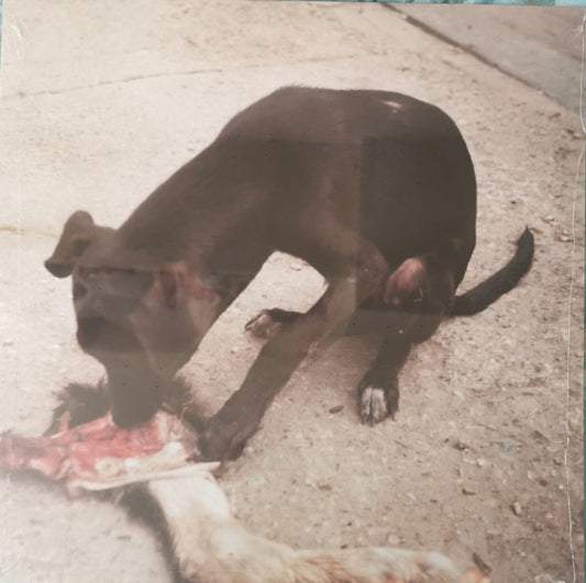 Image of Front Cover of 4725199E: 12" EP - SLOWTHAI, Runt EP (Method Records; MTHDV003, UK 2021 Reissue)   VG+/VG+
