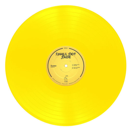 Image of Front Cover of 4715454C: 12" EP - DJOKO, Hooked EP (Shall Not Fade; SNF042, UK 2020)   /VG