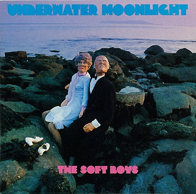 Image of Front Cover of 2xCD - VG+/VG+ - THE SOFT BOYS, Underwater Moonlight (4AD; PCD-5630/1, Japan 2001, Double CD Case), ,  - 4715505C