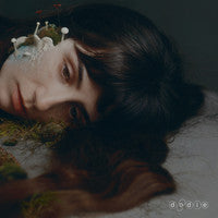 Image of Front Cover of LP - EX/EX - DODIE, Not For Lack Of Trying (doddleoddle; 602478858086, UK 2025, Gatefold, Inner & Insert, Smokey Black Vinyl), ,  - 1746232S