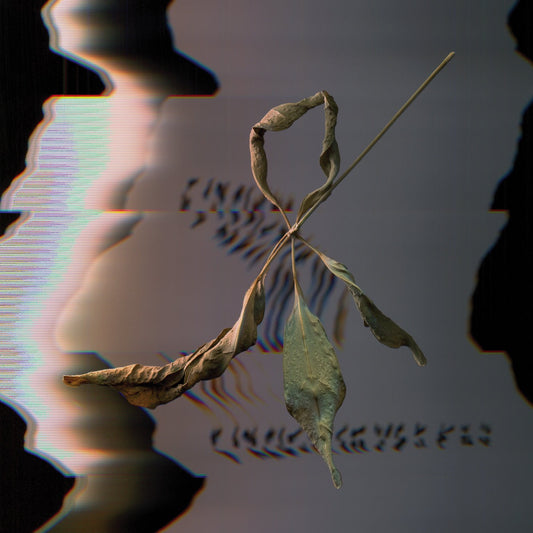 Image of Front Cover of 4845191S: LP - T. GOWDY, Trill Scan (Constellation; CST181, Canada 2025, Inner, Print, 180 Gram Vinyl) Opened Instore, Still In Stickered Shrinkwrap  EX/EX