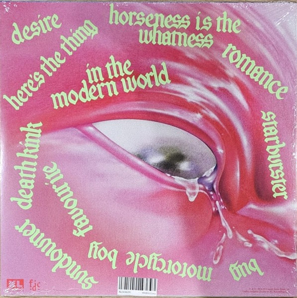 Image of Back Cover of 4915020C: LP - FONTAINES D.C., Romance (XL Recordings; XL1436LP, Worldwide 2024, Inner & Insert) Still In Opened Shrinkwrap With Hype Sticker  EX/VG+