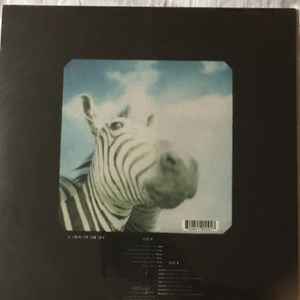 Image of Back Cover of LP - VG+/VG+ - PALEO, A View Of The Sky (Partisan Records; PTSN-009LP, US 2010, Translucent Yellow Vinyl), Still In Opened Shrinkwrap With Hype Sticker,  - 4945071S