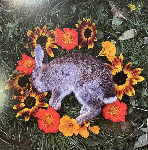 Image of Front Cover of LP - VG+/VG+ - MONOLORD, Your Time To Shine (Relapse Records; RR7483, US 2021, Insert, Green Kelly Vinyl), Very light wear to sleeve.,  - 2646222S