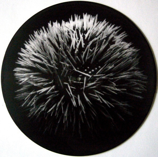 Image of Back Cover of 12" - VG/VG+ - VAGINA DENTATA ORGAN, Live In Berlin (Harbinger Sound; HARBINGER107, UK 2012, Plastic Sleeve, Picture Disc. Limited to 100), Plastic sleeve split,  - 0216029C