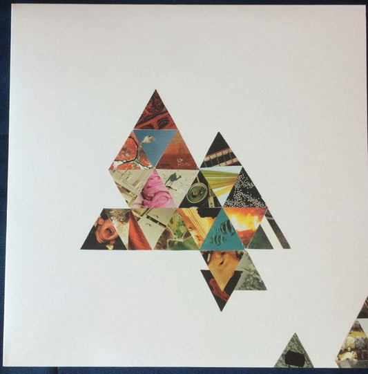 Image of Front Cover of 0246075S: LP - THIS WILL DESTROY YOU & LYMBYC SYSTYM, Field Studies (Magic Bullet Records; MBL110-1, US 2009 Reissue, Stickered Outer Plastic Sleeve, Oil Slick (Brown/Black/Purple marble) Vinyl)   VG+/VG+