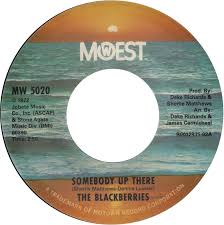 Image of Front Cover of 7" - /EX - THE BLACKBERRIES, Somebody Up There / But I LOve You More (Mowest; MW 5020, US 2013), ,  - 0256254S
