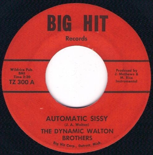 Image of Front Cover of 7" - /VG+ - THE DYNAMIC WALTON BROTHERS, Automatic Sissy / Automatic Sissy (Big Hit Records; TZ 300, US ), ,  - 0326027E