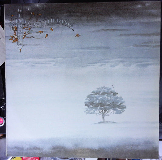 Image of Front Cover of 0316088C: LP - GENESIS, Wind & Wuthering (Charisma; 9124 003, Portugal 1977, Glossy Sleeve)   VG+/VG+