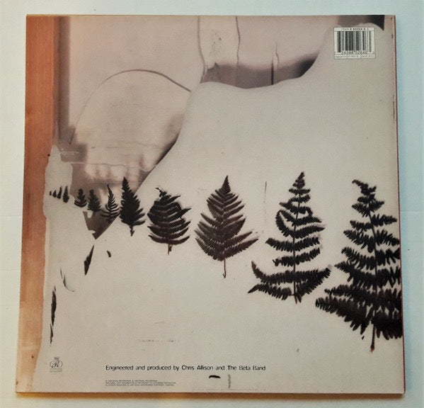 Image of Back Cover of 2x12" EP - VG/VG+ - THE BETA BAND, The Patty Patty Sound (Regal; REG18, Europe 1998), Light cover wear, with information service reply form,  - 3246127S