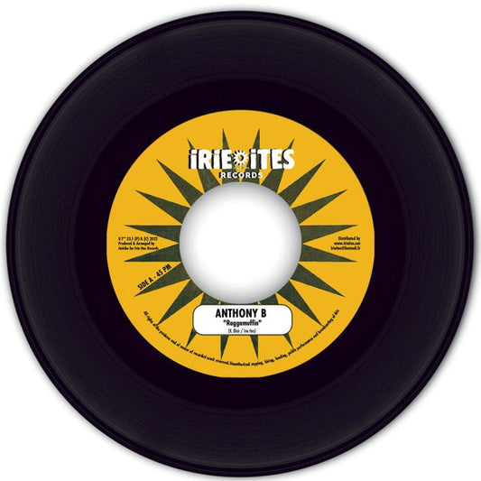 Image of Front Cover of 0316185C: 7" - ANTHONY B / BROTHER CULTURE, Raggamuffin / Build Up A House (Irie Ites Records; II 7'' 23.1, Europe 2022) Writing on labels and some light marks. Strong VG.  /VG