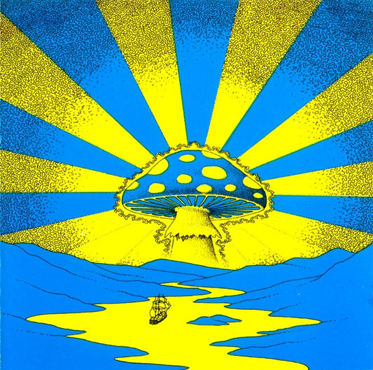 Image of Front Cover of CD - VG+/VG+ - VARIOUS, The Psychedelic Voyage (Bon Voyage) (Not On Label; CAMCD 01,  , Jewel Case, Unofficial), ,  - 0436062E