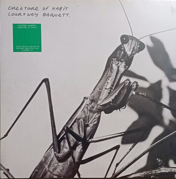 Image of Front Cover of LP - NEW/NEW - COURTNEY BARNETT, Creature of Habit (Fiction Records; 0484186, UK 2026, Gatefold, Indies Exclusive 'Another Beautiful Day' Caramel Coloured Vinyl), , 'Creature Of Habit  marks a decisive new chapter in Courtney Barnett s musical evolution. It s a bold, emotionally resonant record that explores the central question: how to get out of your own way so you can truly feel your life. Written in the wake of a relocation from Australia to Los Angeles and the closure of her lon