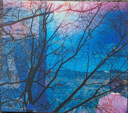 Image of Front Cover of CD - VG+/VG+ - IDLEWILD, Idlewild (V2; VVNL5070CD, UK & Europe 2025, Fold Over Sleeve), ,  - 0516062C