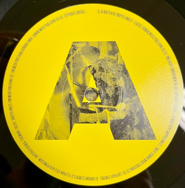 Image of Label Cover of LP - NEW/NEW - SNAPPED ANKLES, Come Play The Trees (The Leaf Label; BAY103V, Europe 2026 Reissue, Inner), ,  - 0816257C