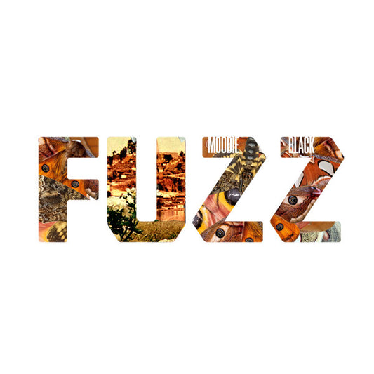 Image of Front Cover of LP - VG+/VG+ - MOODIE BLACK, Fuzz (Fake Four Inc.; ffinc081, US 2020, Inner, Orange Vinyl), ,  - 0646154S